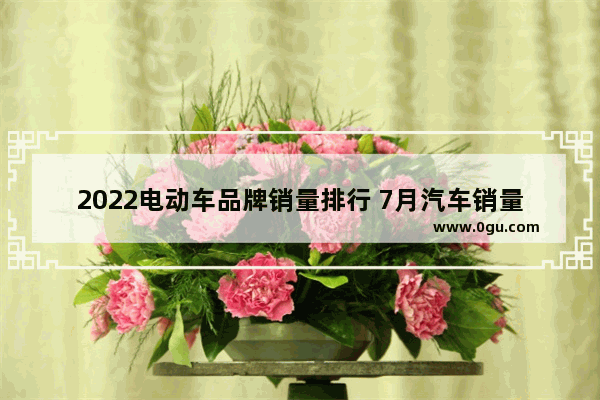 2022电动车品牌销量排行 7月汽车销量榜包括电车