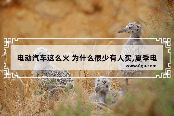 电动汽车这么火 为什么很少有人买,夏季电动汽车销量