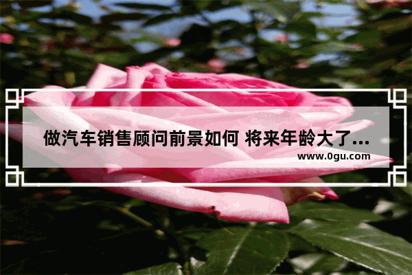 做汽车销售顾问前景如何 将来年龄大了怎么办,未来汽车销量数据