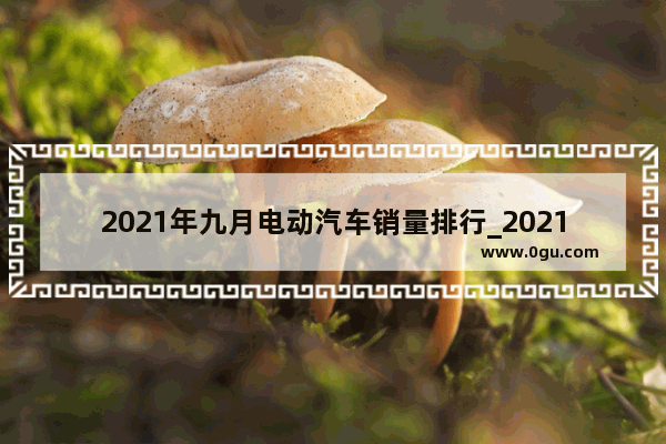 2021年九月电动汽车销量排行_2021新能源汽车9月销量排行榜