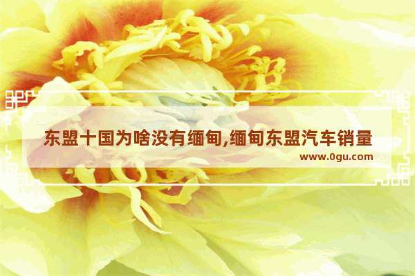 东盟十国为啥没有缅甸,缅甸东盟汽车销量