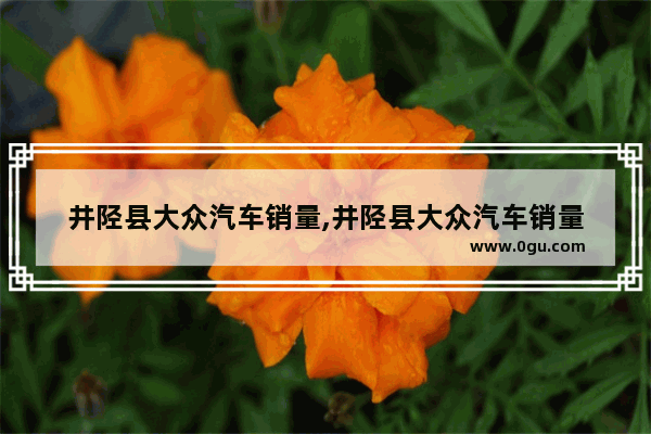 井陉县大众汽车销量,井陉县大众汽车销量