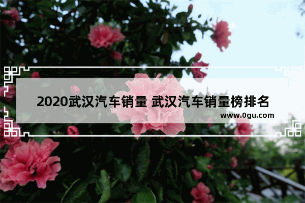 2020武汉汽车销量 武汉汽车销量榜排名前十