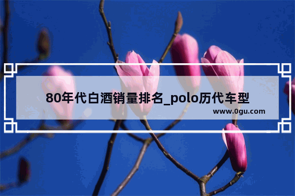 80年代白酒销量排名_polo历代车型