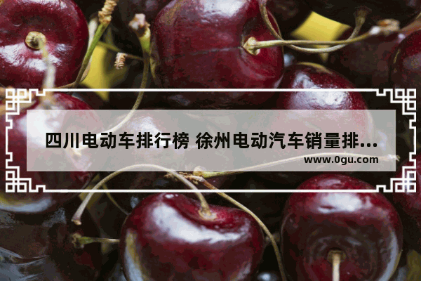 四川电动车排行榜 徐州电动汽车销量排行榜
