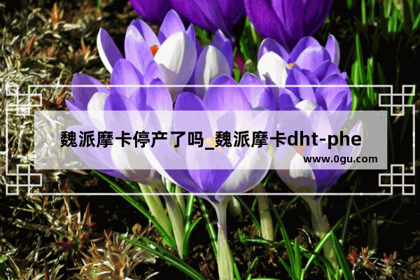 魏派摩卡停产了吗_魏派摩卡dht-phev油耗评测
