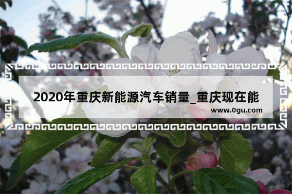 2020年重庆新能源汽车销量_重庆现在能买得到铃木汽车吗