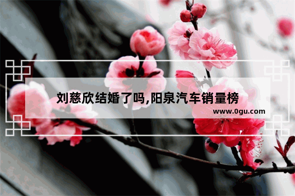 刘慈欣结婚了吗,阳泉汽车销量榜
