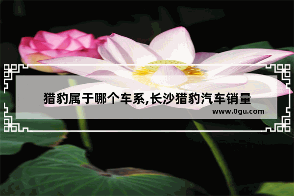 猎豹属于哪个车系,长沙猎豹汽车销量