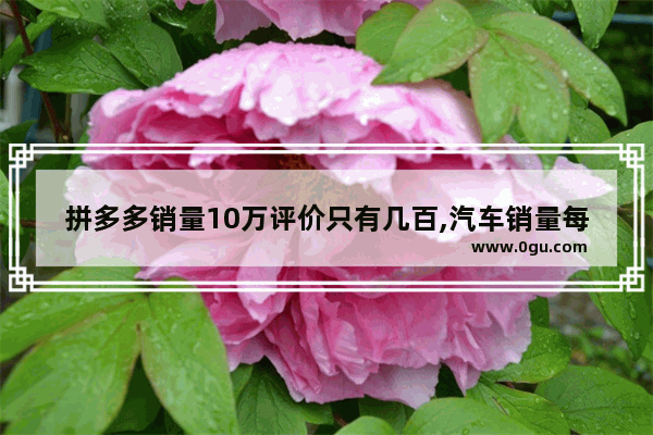 拼多多销量10万评价只有几百,汽车销量每月几十几百台