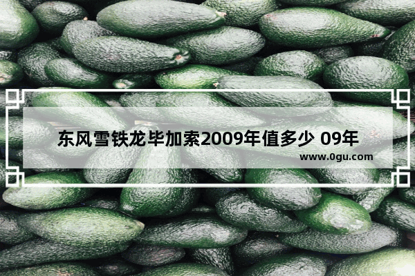 东风雪铁龙毕加索2009年值多少 09年美国汽车销量