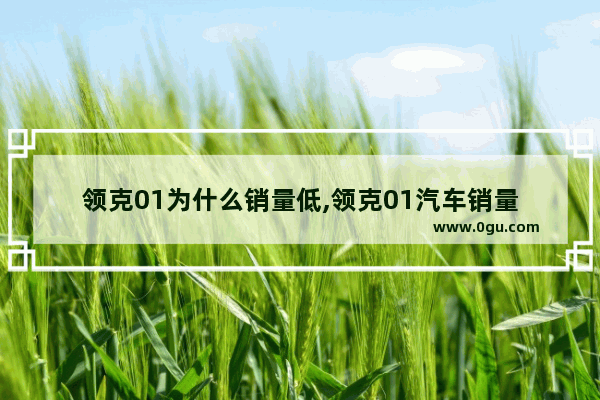 领克01为什么销量低,领克01汽车销量