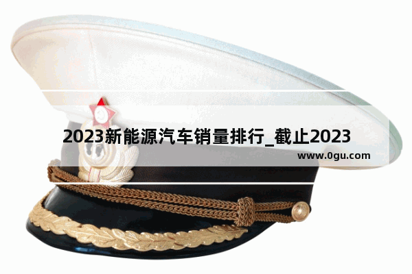 2023新能源汽车销量排行_截止2023年6月底苏州市新能源车保有量