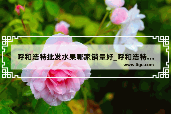 呼和浩特批发水果哪家销量好_呼和浩特油电混动有哪些车