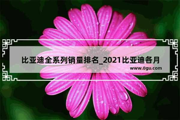 比亚迪全系列销量排名_2021比亚迪各月销量