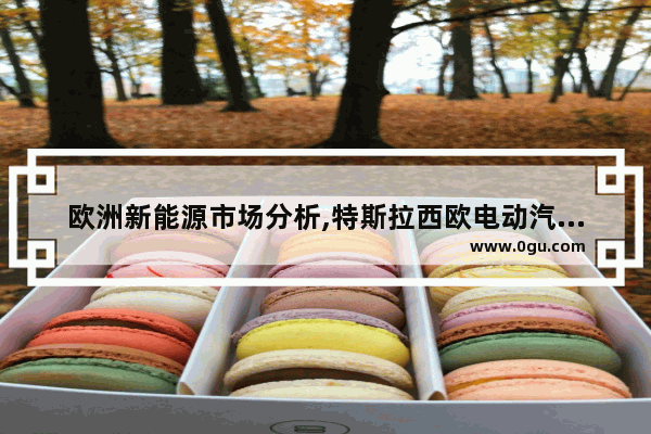 欧洲新能源市场分析,特斯拉西欧电动汽车销量