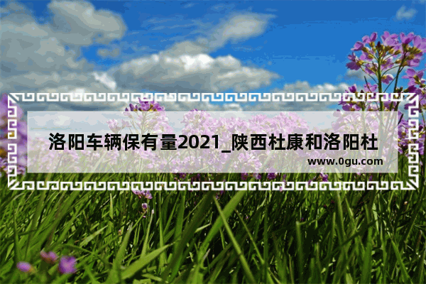 洛阳车辆保有量2021_陕西杜康和洛阳杜康哪个销量大