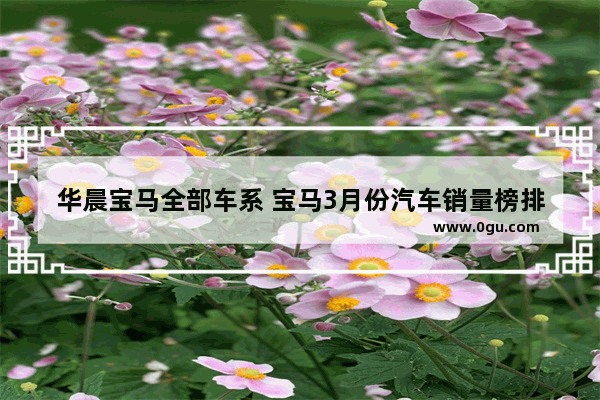 华晨宝马全部车系 宝马3月份汽车销量榜排名