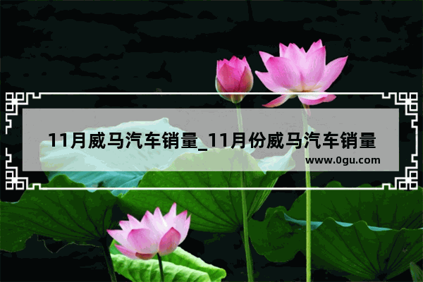 11月威马汽车销量_11月份威马汽车销量