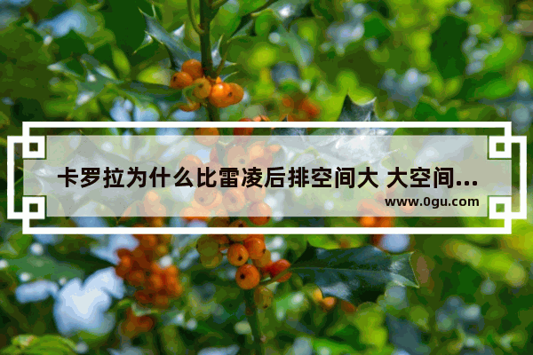 卡罗拉为什么比雷凌后排空间大 大空间汽车销量排名