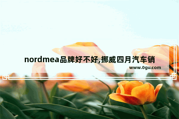 nordmea品牌好不好,挪威四月汽车销量排名多少