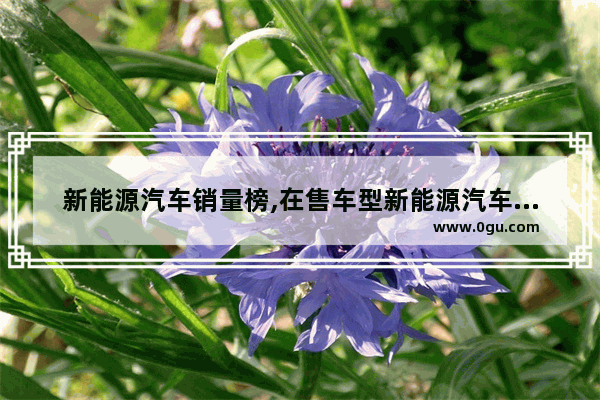 新能源汽车销量榜,在售车型新能源汽车销量