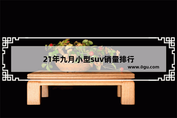 21年九月小型suv销量排行