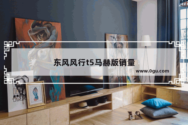东风风行t5马赫版销量