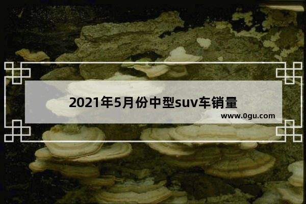 2021年5月份中型suv车销量