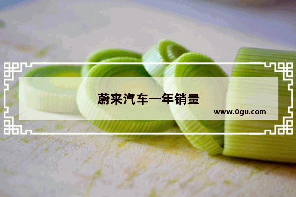 蔚来汽车一年销量