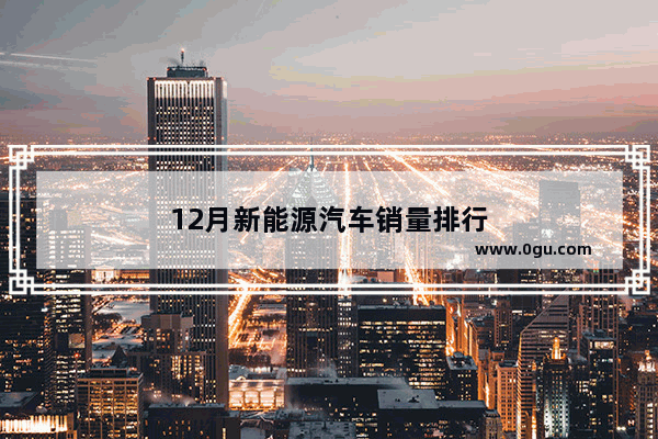 12月新能源汽车销量排行