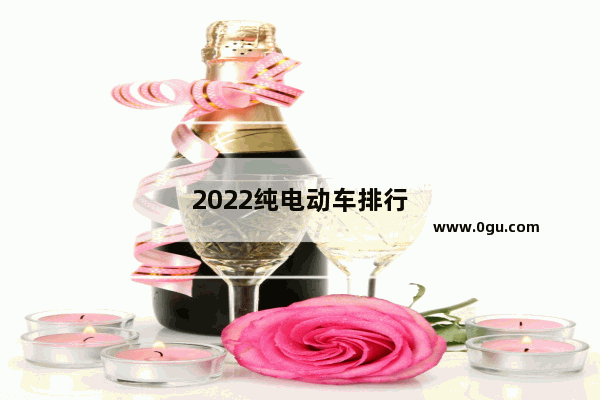 2022纯电动车排行