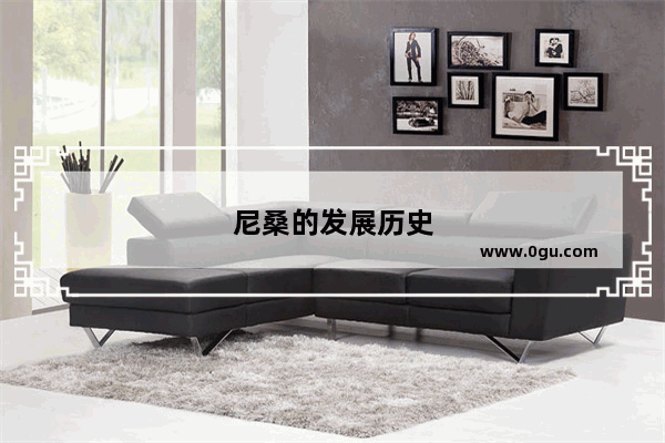 尼桑的发展历史