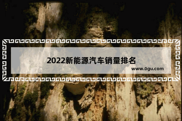 2022新能源汽车销量排名