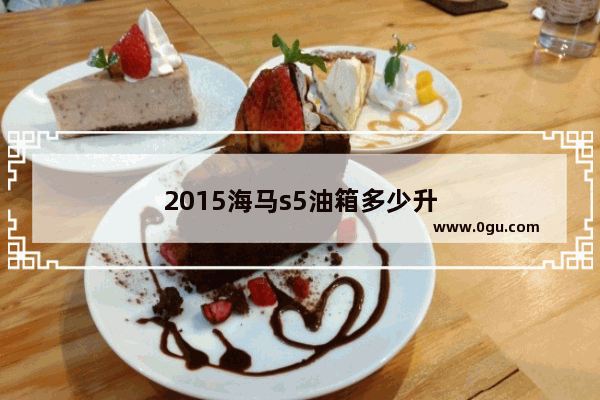 2015海马s5油箱多少升
