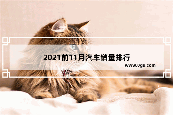 2021前11月汽车销量排行