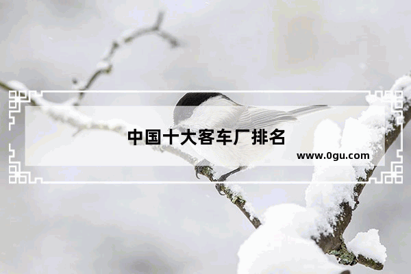 中国十大客车厂排名