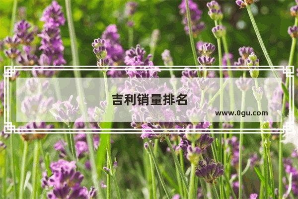 吉利销量排名