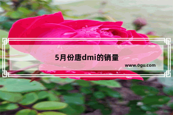 5月份唐dmi的销量