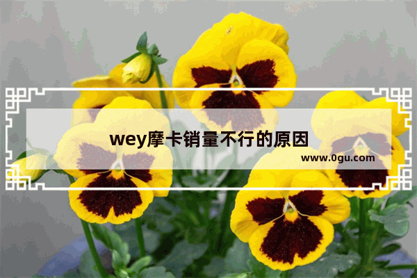 wey摩卡销量不行的原因