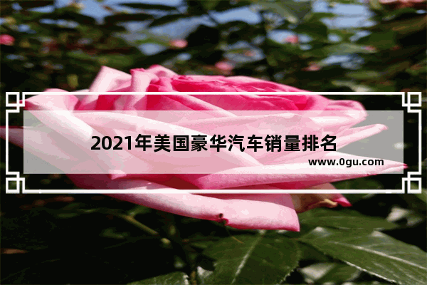 2021年美国豪华汽车销量排名