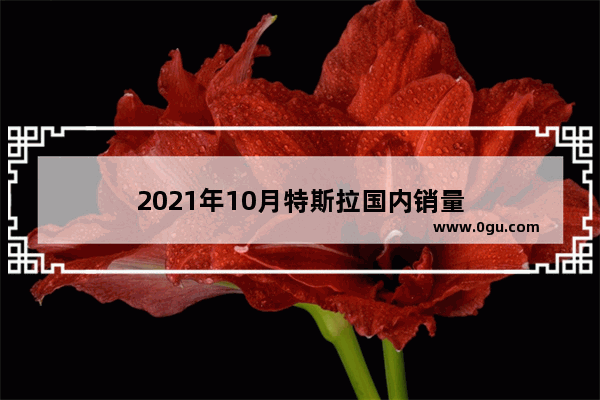 2021年10月特斯拉国内销量