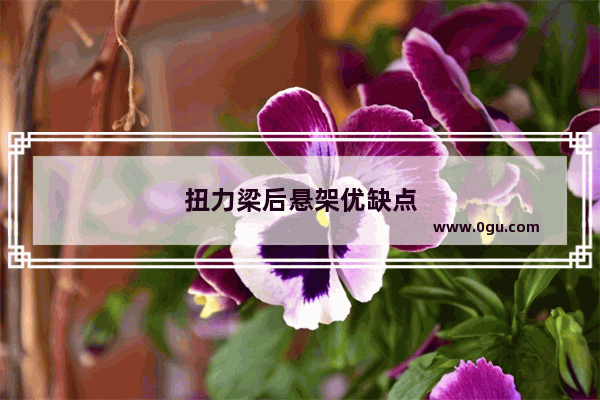扭力梁后悬架优缺点