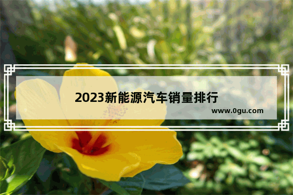 2023新能源汽车销量排行