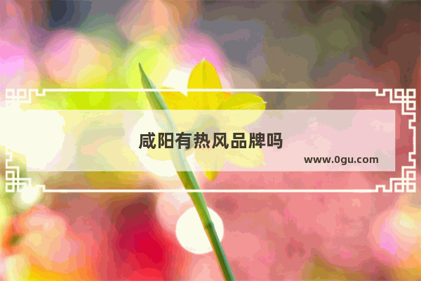 咸阳有热风品牌吗