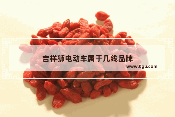 吉祥狮电动车属于几线品牌