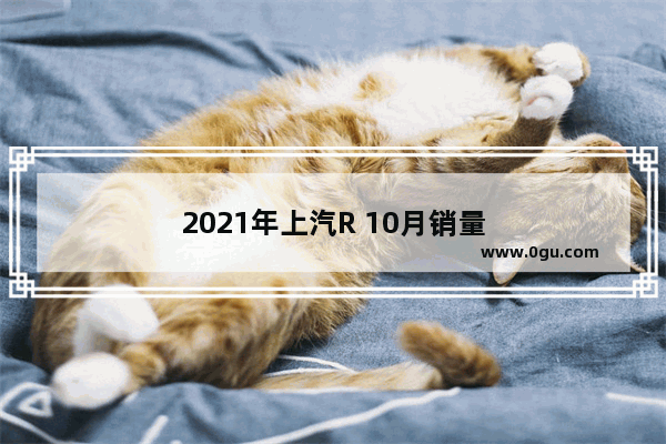 2021年上汽R 10月销量