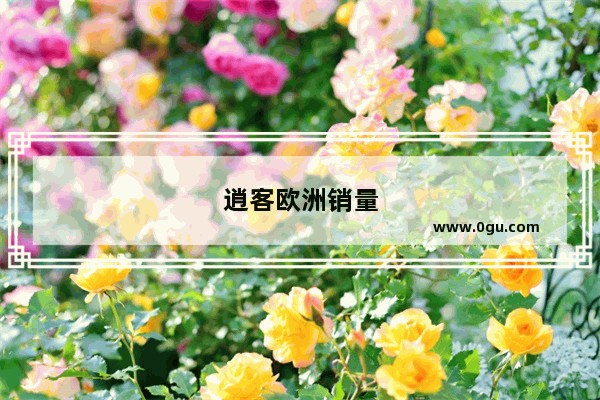 逍客欧洲销量