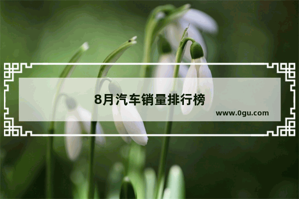 8月汽车销量排行榜