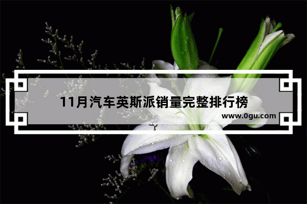 11月汽车英斯派销量完整排行榜